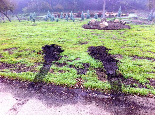 2012/00(Landscaping)/640x480_2012-03-12-1-Landscape changes Conifer Cove.jpg
